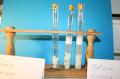 gal/LES_CINQUIEMES/ACTIVITE DIGESTION IN VITRO/Groupe_02/Groupe02_T_00h20min/_thb_Groupe02_temps00H20min_2.jpg